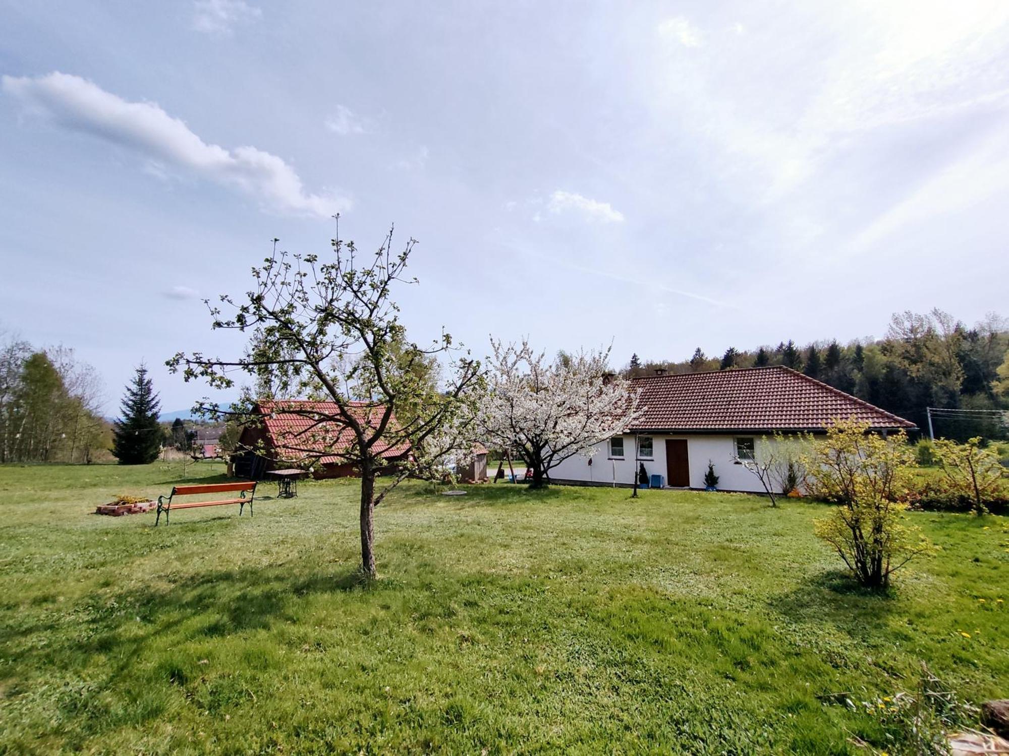 Apartment Izerskie Gaje Wojcieszyce