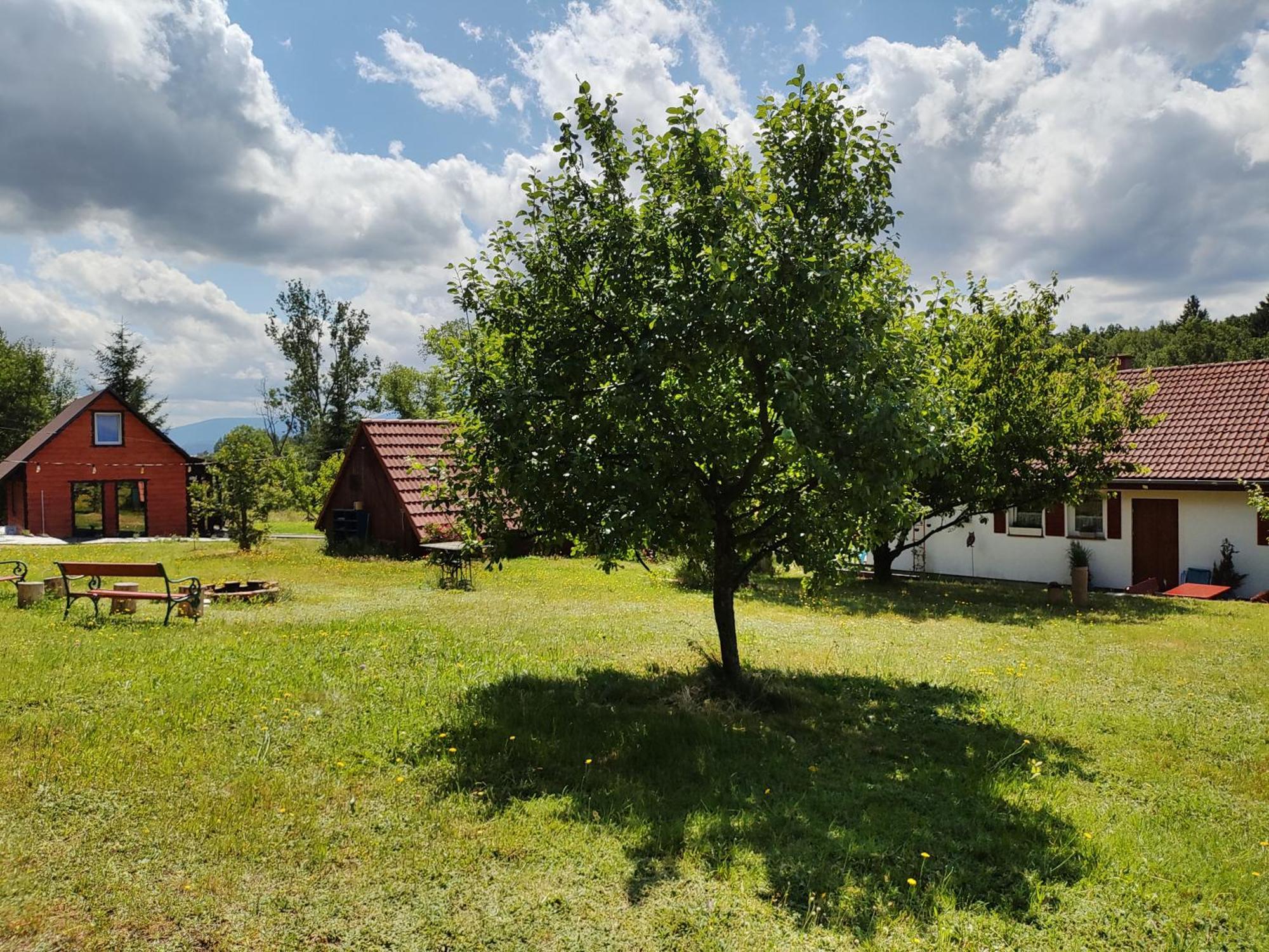 Izerskie Gaje Apartamento Wojcieszyce